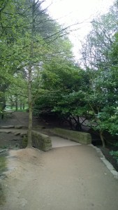 Golden Acre Park