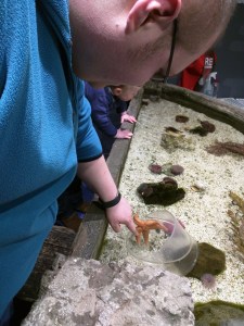 Cameron stroking a starfish at the Sea Life Centre in Scarborough