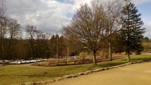 Sunny Skies at Golden Acre Park