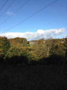 Glorious sunshine on the canal