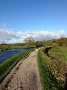 Glorious sunshine on the canal