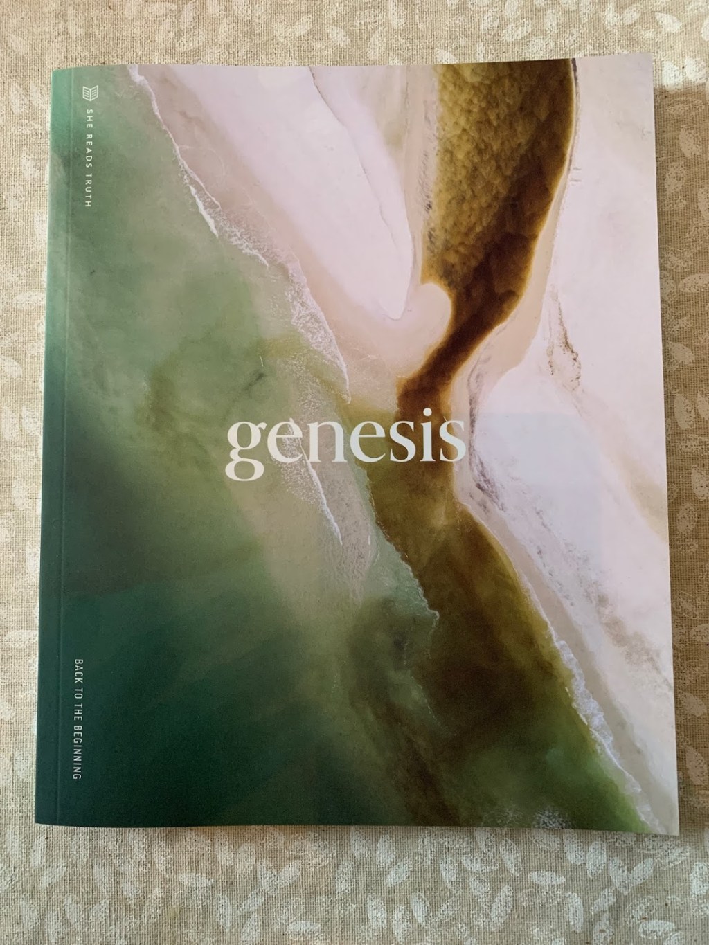 She Reads Truth – Genesis