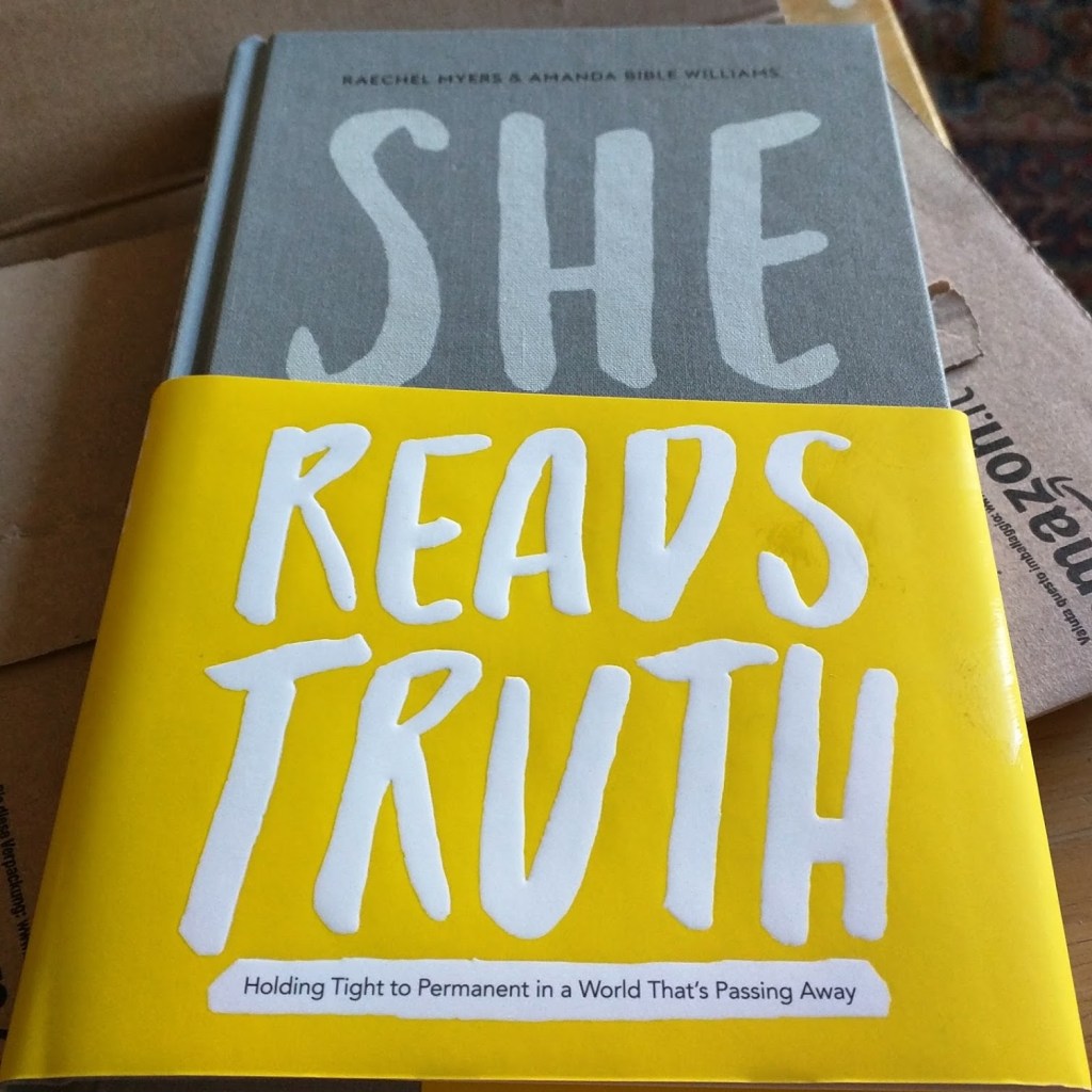 Raechel Myers & Amanda Bible Williams – She Reads&nbsp;Truth