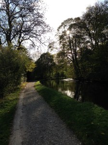 Rodley Canal