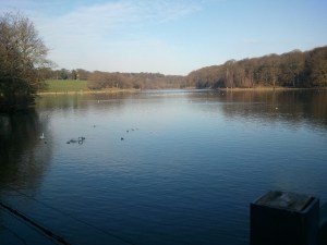 Roundhay Park