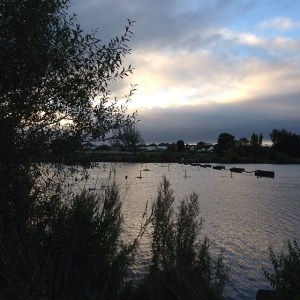 Freezing cold wind blowing off the cobwebs at Yeadon Tarn.