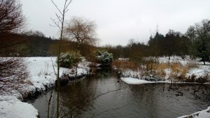 Snowy Golden Acre Park