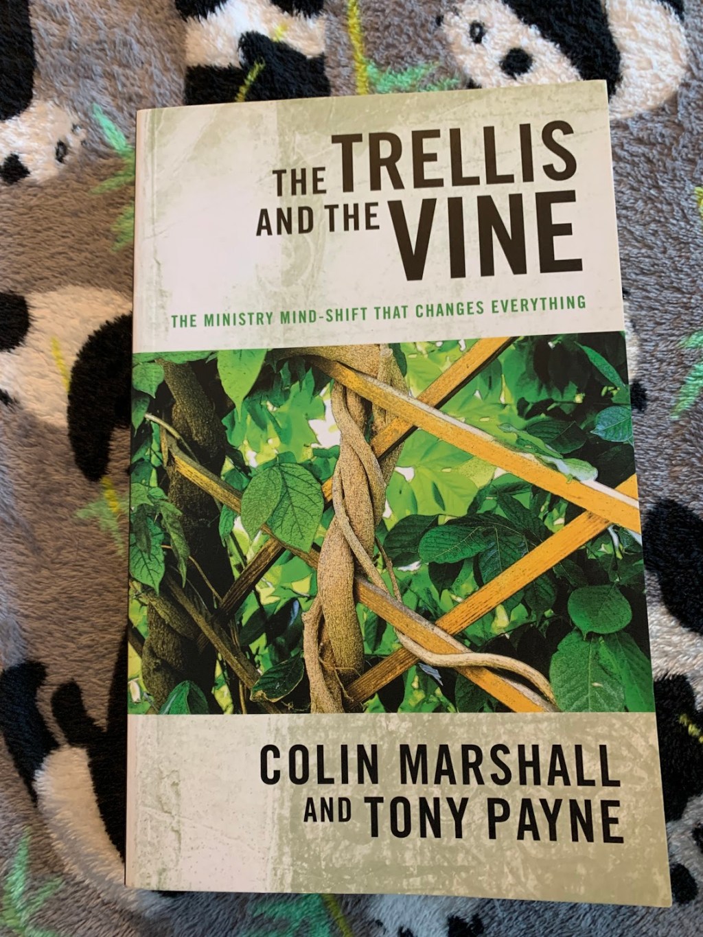 Colin Marshall & Tony Payne – The Trellis and the&nbsp;Vine