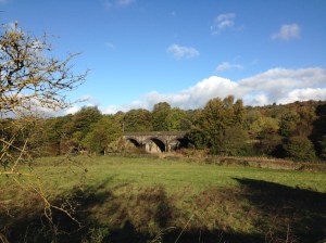 Glorious sunshine on the canal