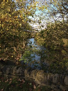 Look through to the River Aire from the canal