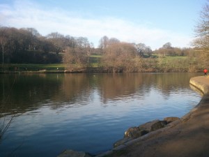 Roundhay Park