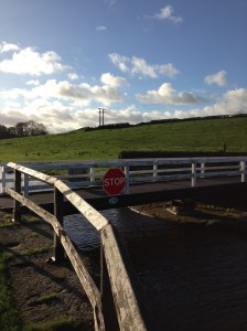 Bridge on Rodley Canal