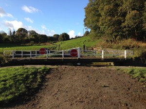 Bridge on Rodley Canal