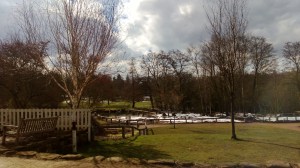 Sunny Skies at Golden Acre Park