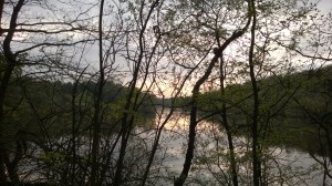 Sunset at Golden Acre Park